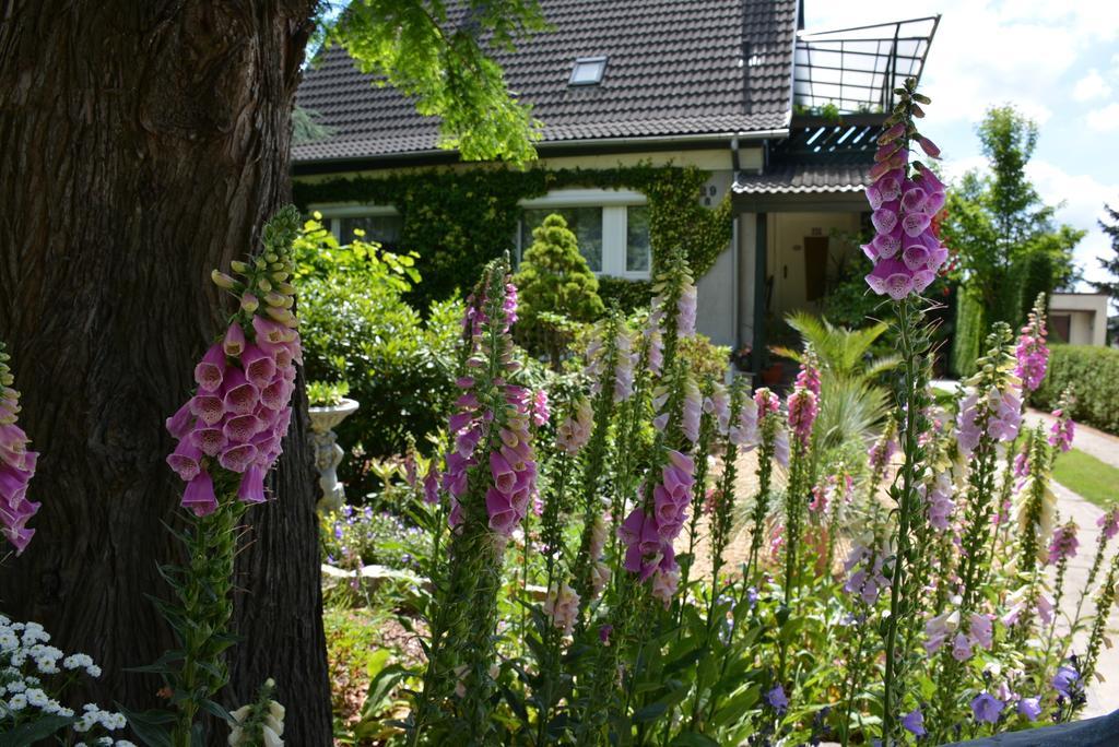 Ferienwohnung Jentsch - #25932 Görlitz Oda fotoğraf